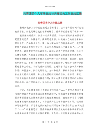 共青团员个人年终总结与共青团员工作总结汇编