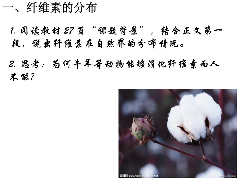 课题3-分解纤维素的微生物的分离_第3页