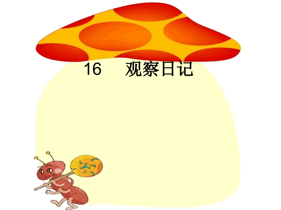 16观察日记_第1页
