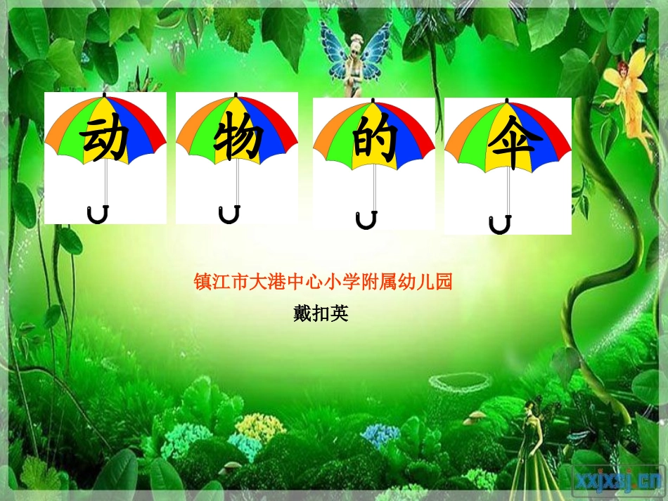 动物的伞PPT_第1页