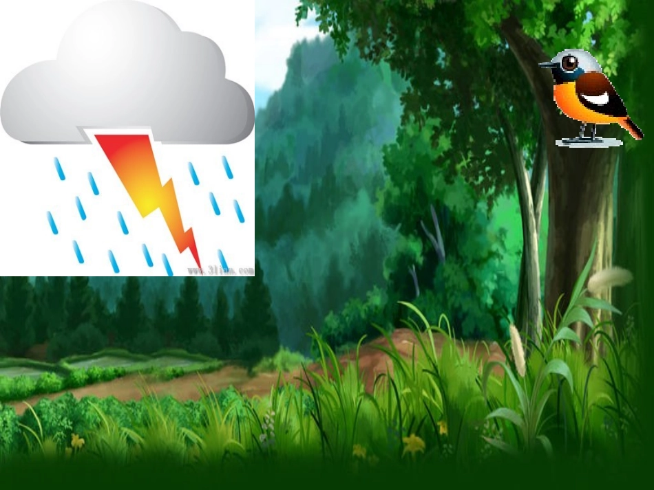 动物的伞PPT_第2页