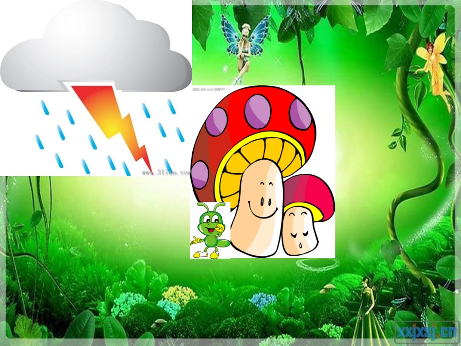 动物的伞PPT_第3页