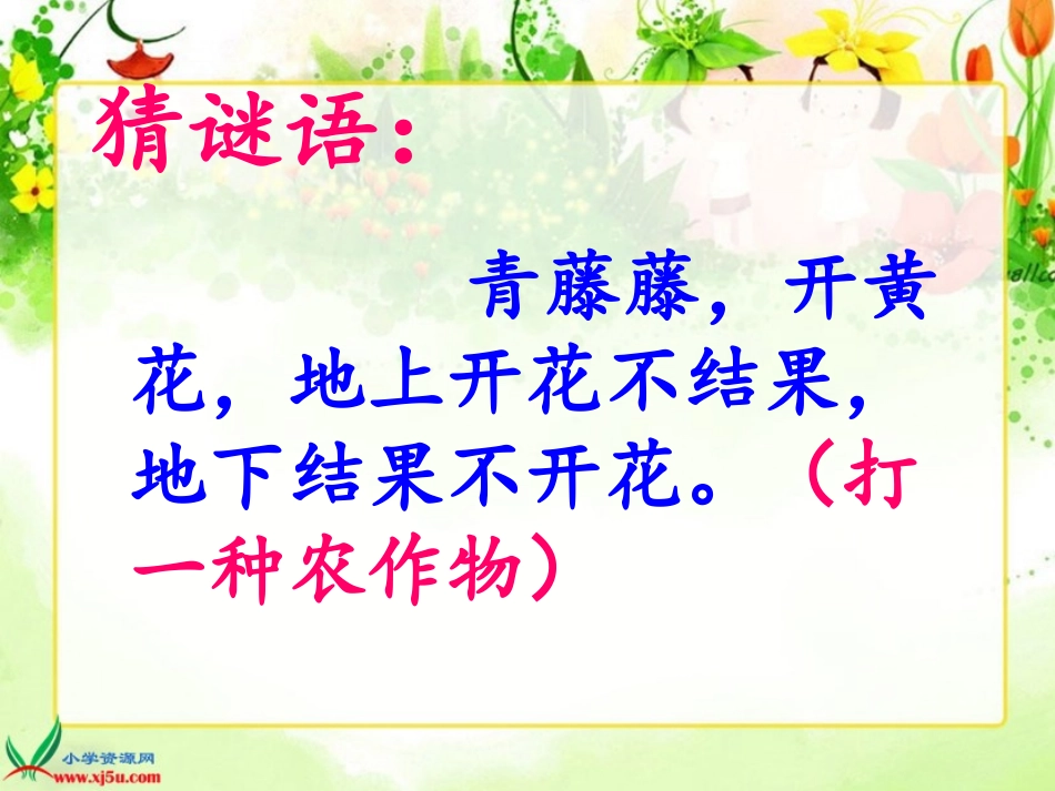 人教版第九册15落花生(上课)_第1页