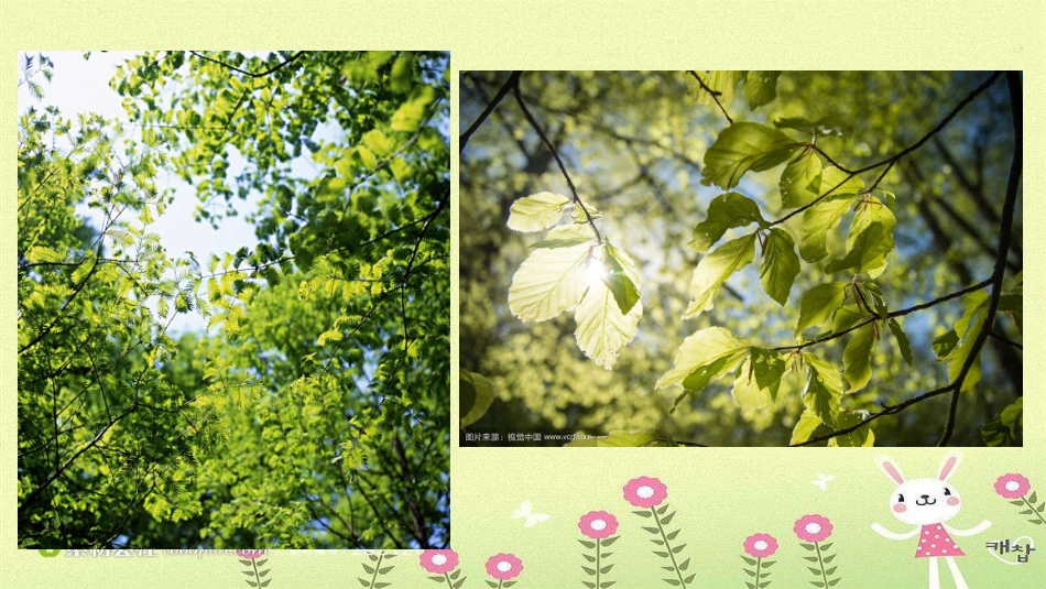 和大人一起读：小熊住山洞_第2页