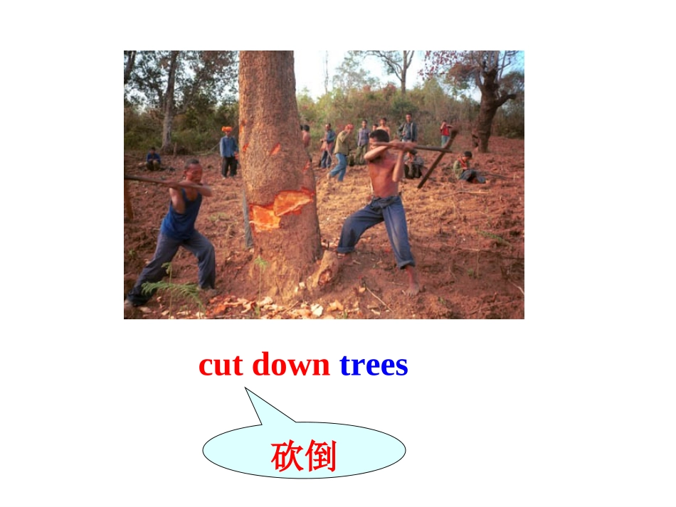 8Bunit8reading1-xzy_第3页