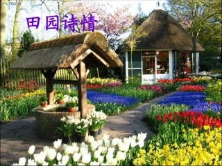 田园诗情(定稿)