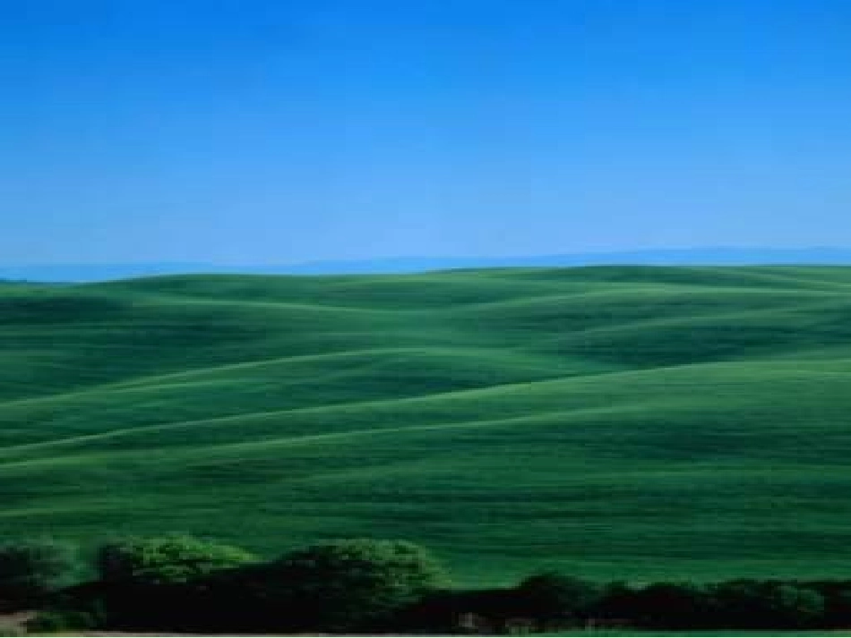 《草原》黄国强_第1页