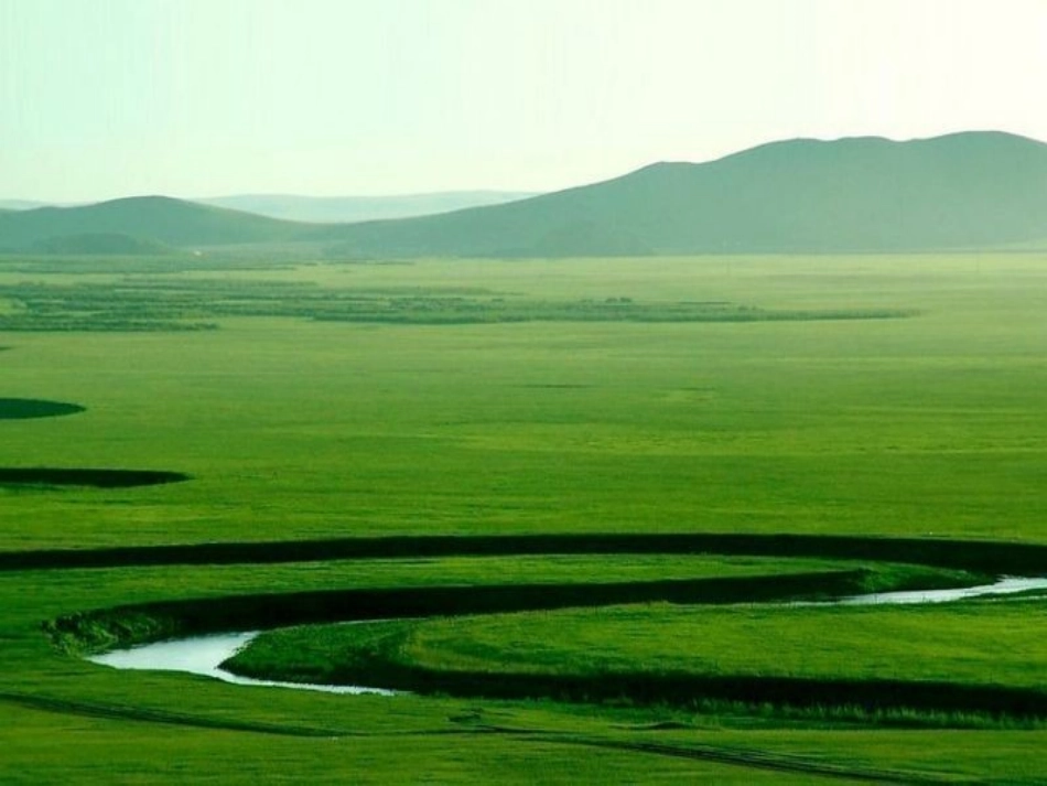 《草原》黄国强_第3页