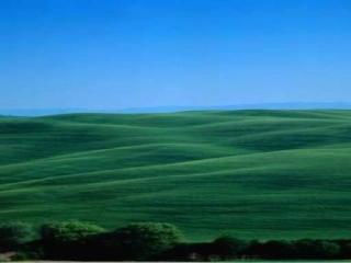 《草原》黄国强