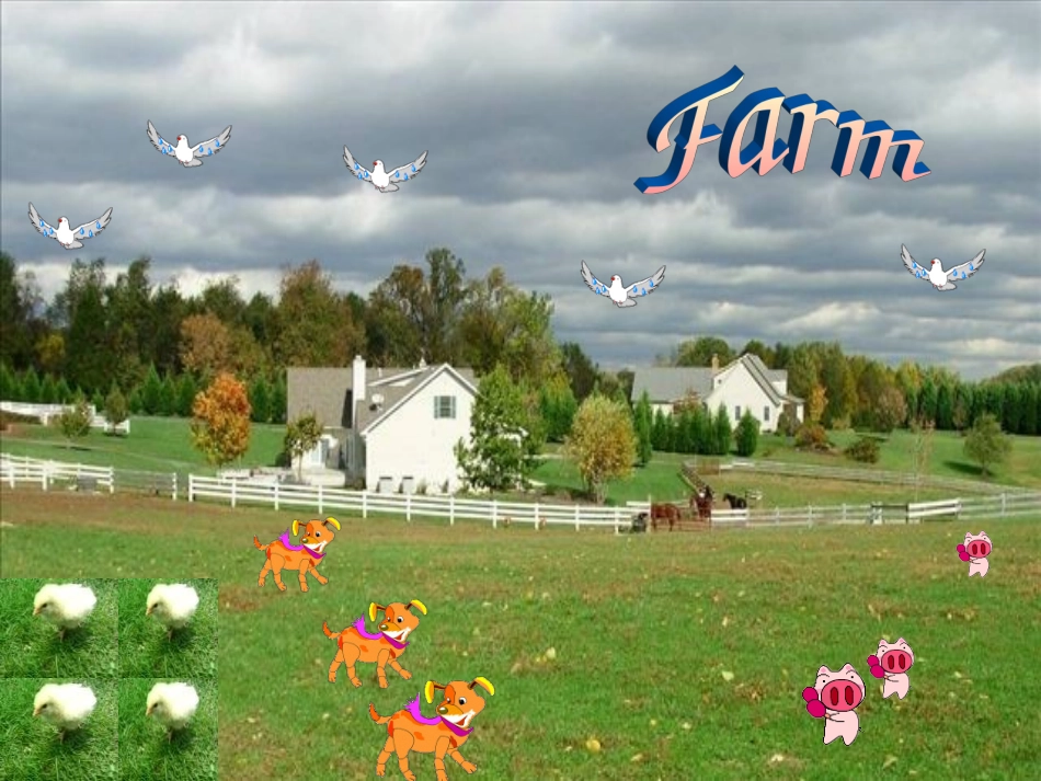 Unit-2-Welcome-to-Our-Farm-Lesson-2-课件1_第3页