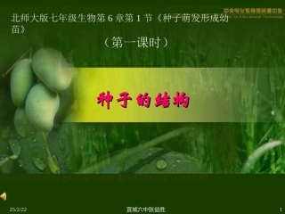 种子的结构2