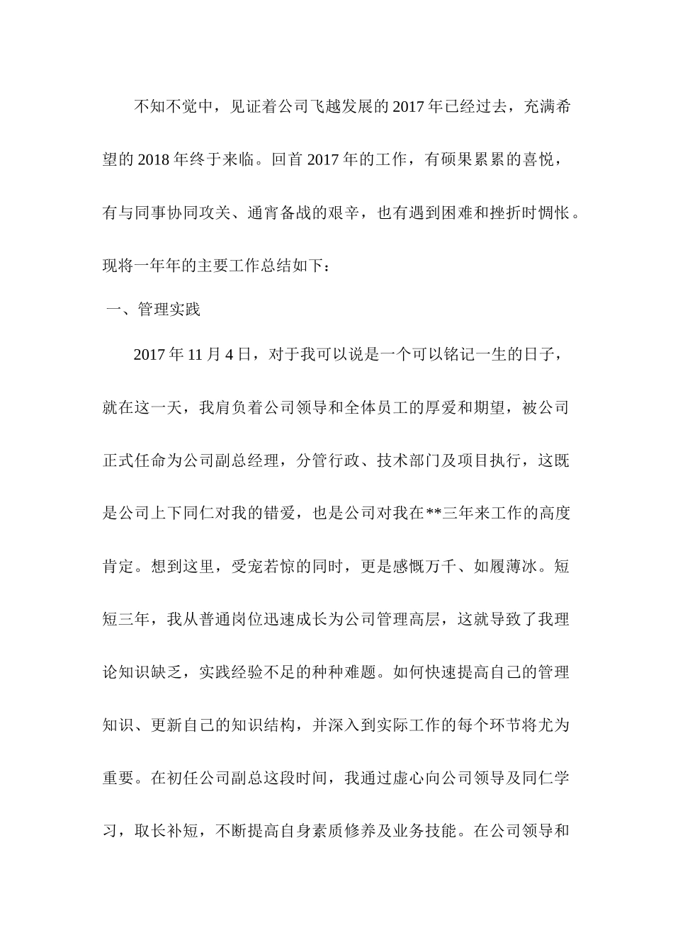 公司副总经理岗位工作总结_第2页