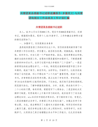 共青团某县委副书记述职述廉报告与共青团电视台工作总结及工作计划汇编