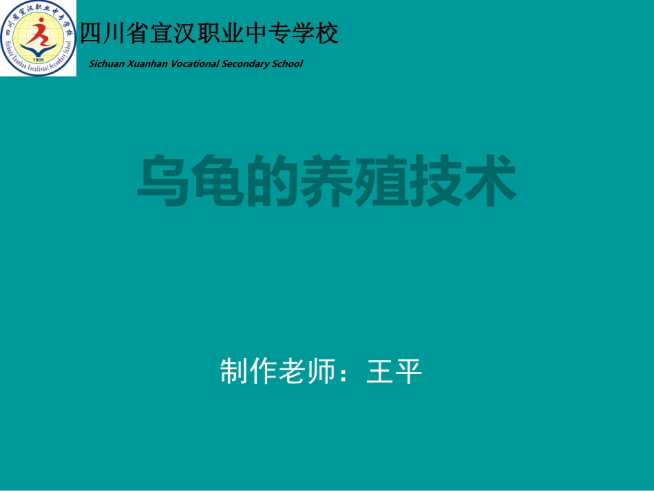 乌龟养殖技术_第1页