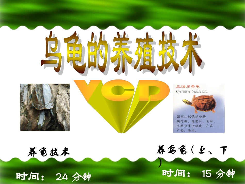 乌龟养殖技术_第2页