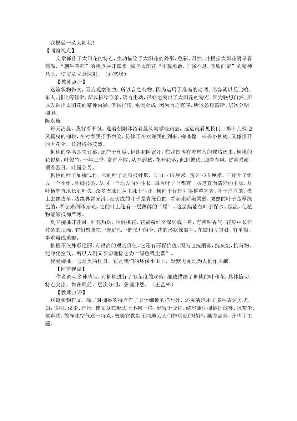 zmj-4636-13908_第2页