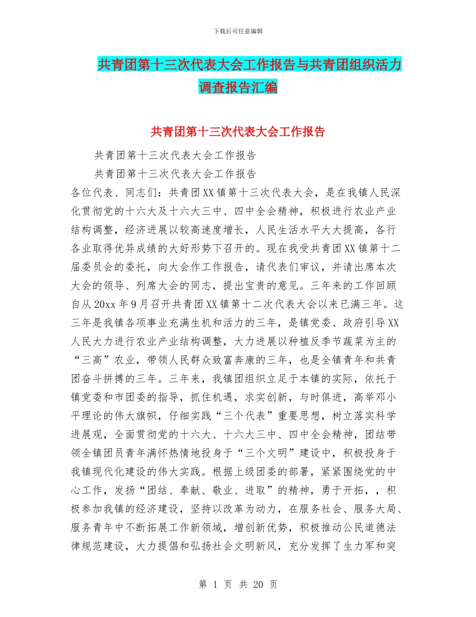 共青团第十三次代表大会工作报告与共青团组织活力调查报告汇编_第1页