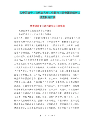 共青团第十三次代表大会工作报告与共青团组织活力调查报告汇编