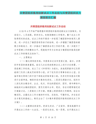共青团组织格局创新试点工作总结与共青团组织活力调查报告汇编