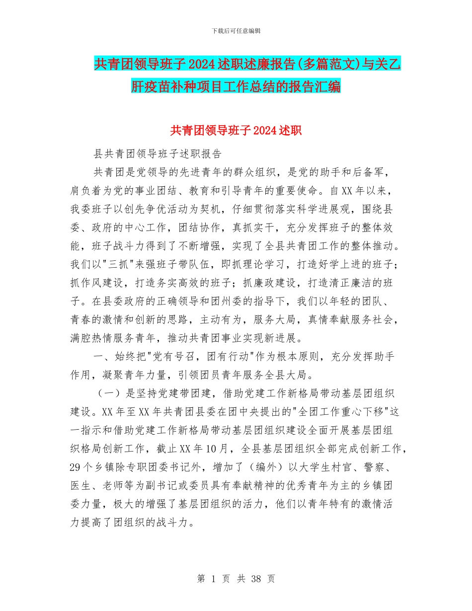 共青团领导班子2024述职述廉报告与关乙肝疫苗补种项目工作总结的报告汇编_第1页