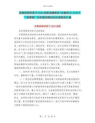 共青团领导班子2024述职述廉报告与关于