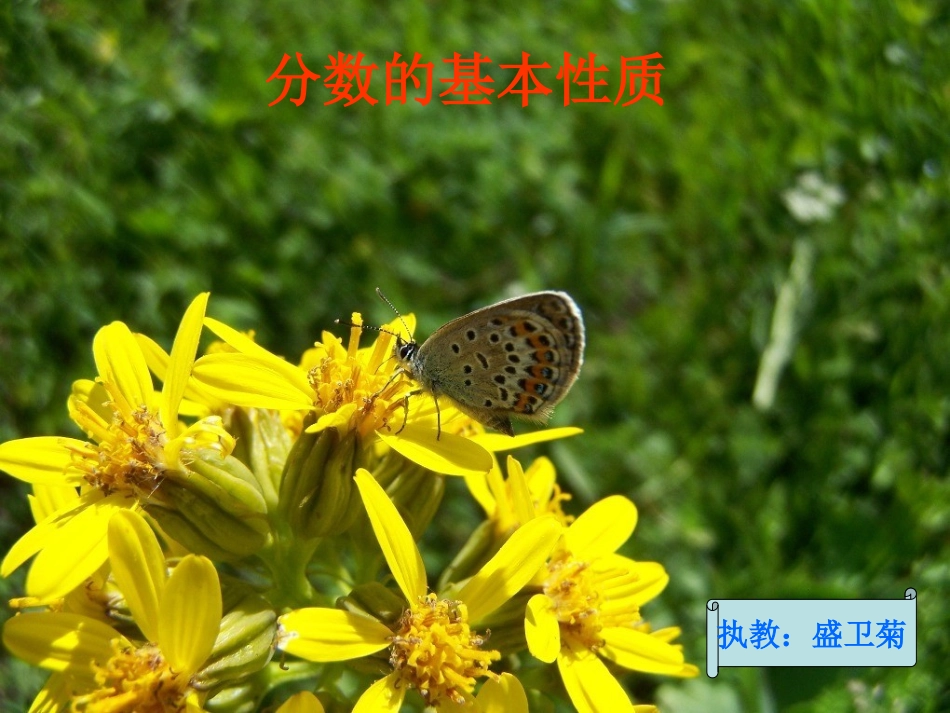 分数的基本性质-(4)_第1页