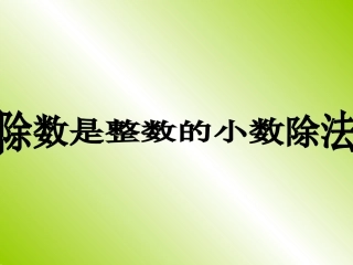 除数是整数的除法