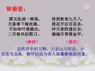 公开课《咏物诗》