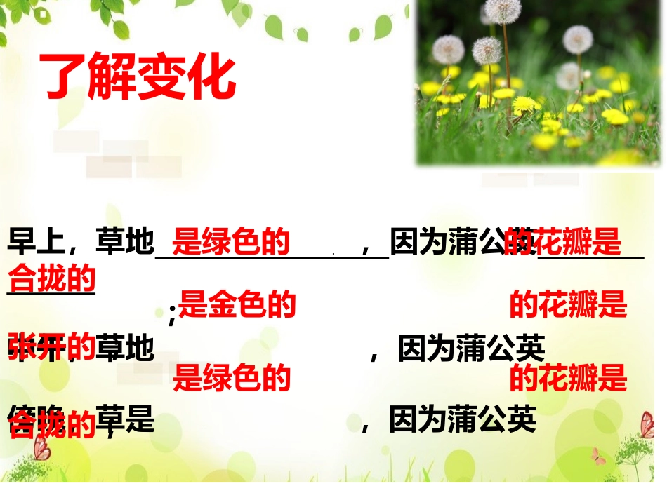 16金色的草地_第3页