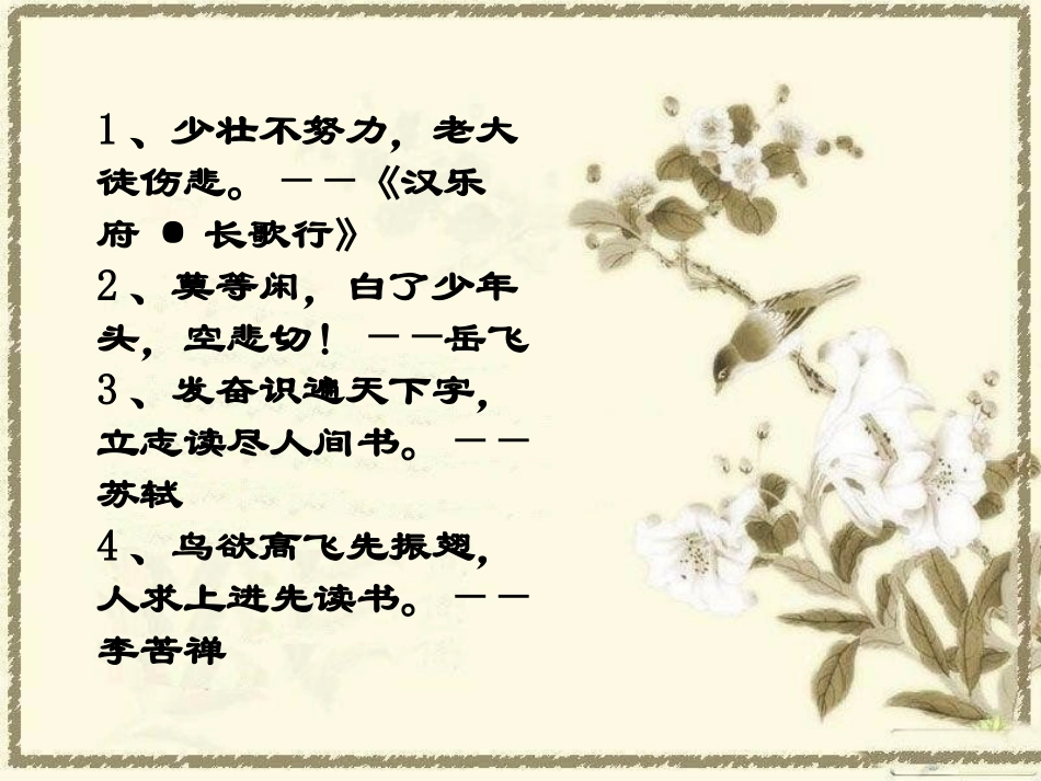 518《珍珠鸟》课件_第2页