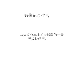 小熊猫成长记录