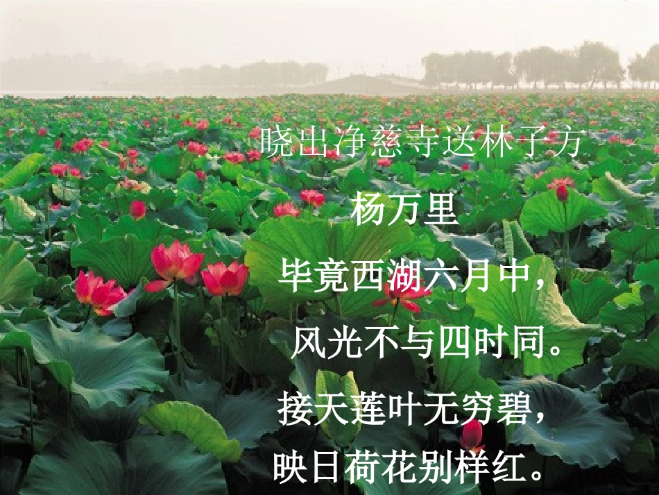 湖心亭看雪[1]_第2页