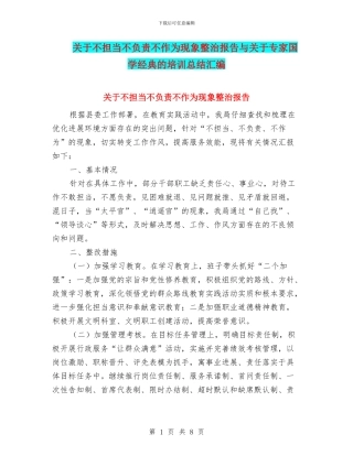 关于不担当不负责不作为现象整治报告与关于专家国学经典的培训总结汇编