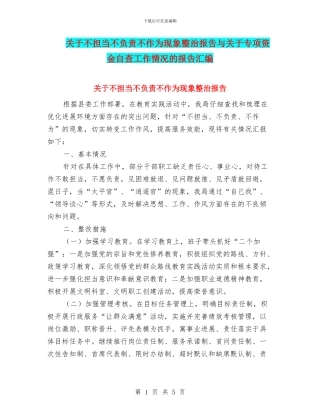 关于不担当不负责不作为现象整治报告与关于专项资金自查工作情况的报告汇编