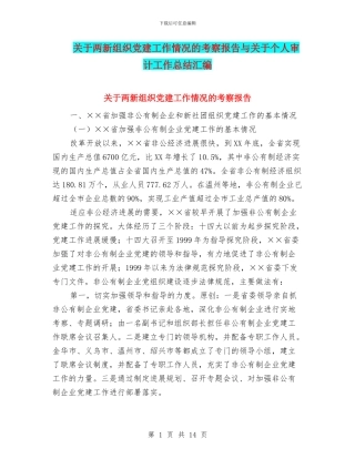 关于两新组织党建工作情况的考察报告与关于个人审计工作总结汇编