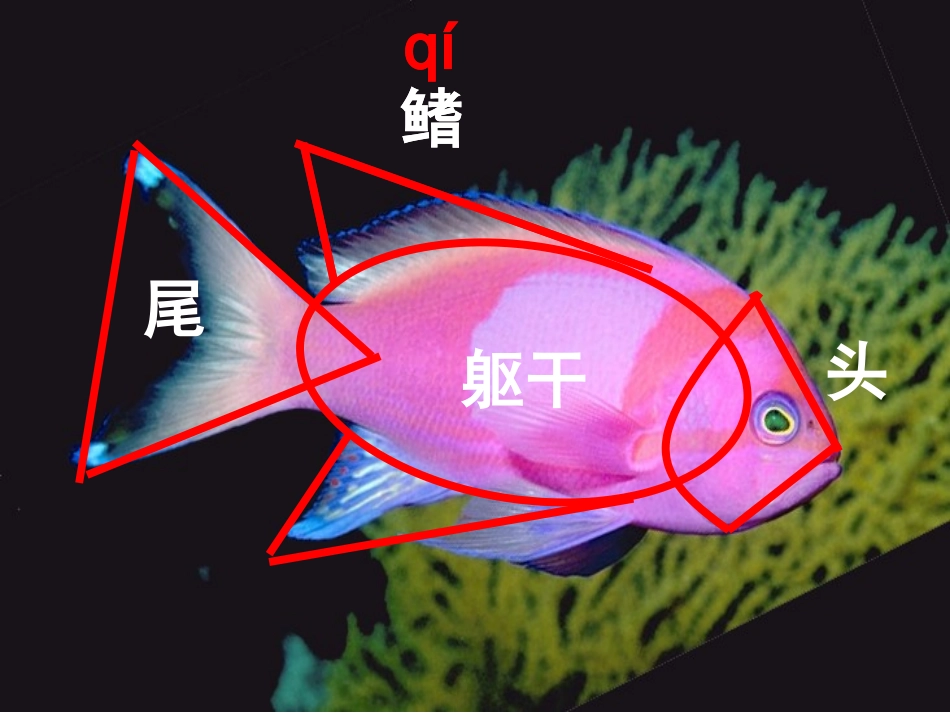 谁画的鱼最大3_第3页