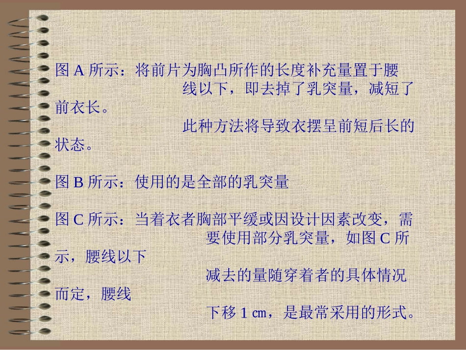 衬衫_连衣裙_女西装等成衣纸样设计_第3页