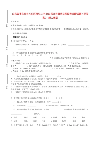 山东省枣庄市台儿庄区涧头二中九年级语文阶段性诊断试卷 新人教版试卷