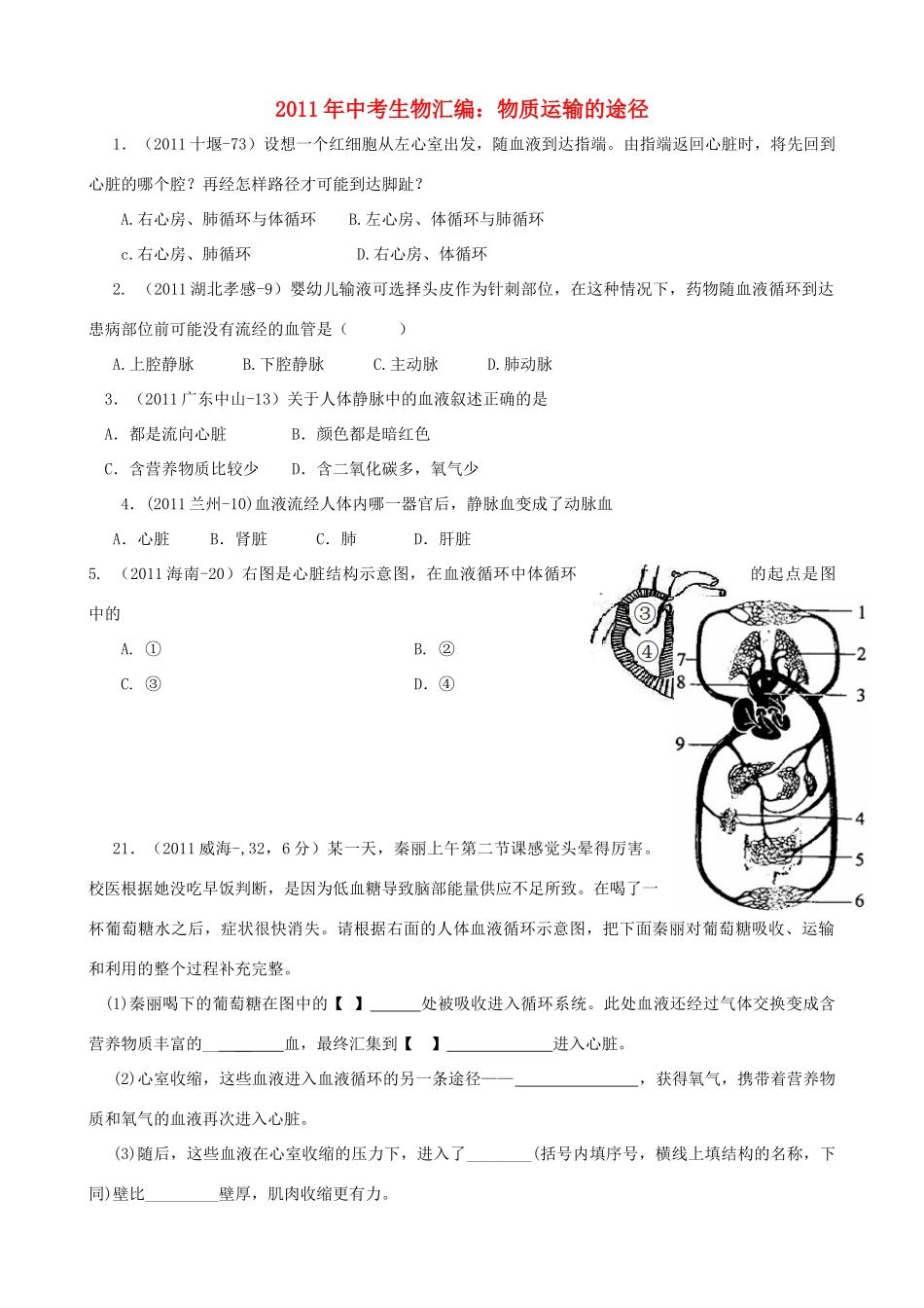 中考生物汇编试卷 物质运输的途径试卷_第1页