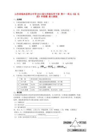 九年级化学下册 第十一单元(盐 化肥)补偿题 新人教版试卷