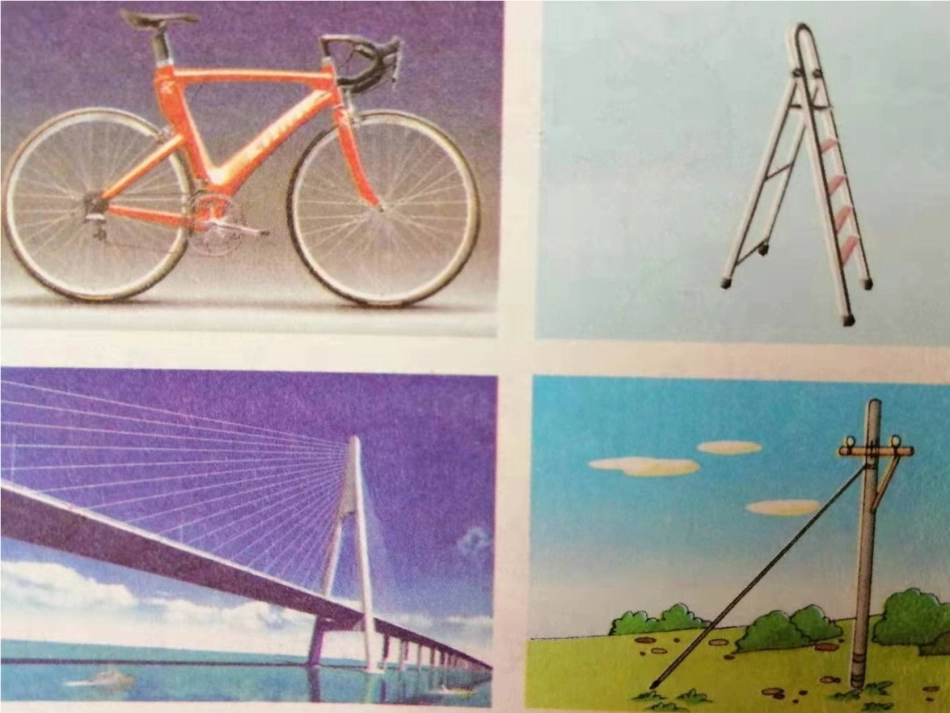 三角形的特性及三边关系_第2页