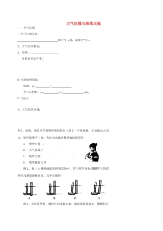 中考物理冲刺复习 压强和浮力 专题3 大气压强与流体压强训练试卷