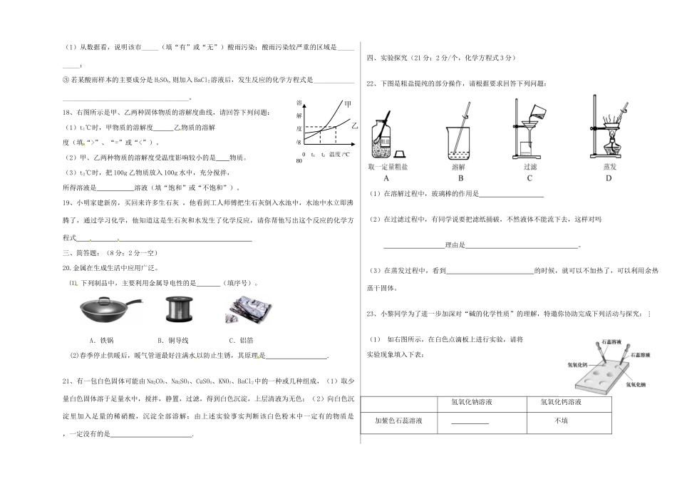 九年级化学下学期第一次检测试卷 新人教版试卷_第2页