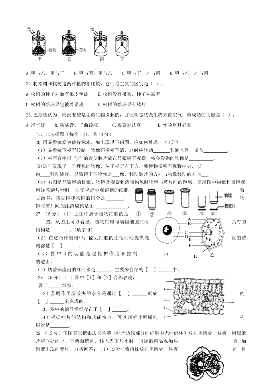 山东省博兴县兴福镇一中七年级生物上学期期中试卷 新人教版试卷_第3页