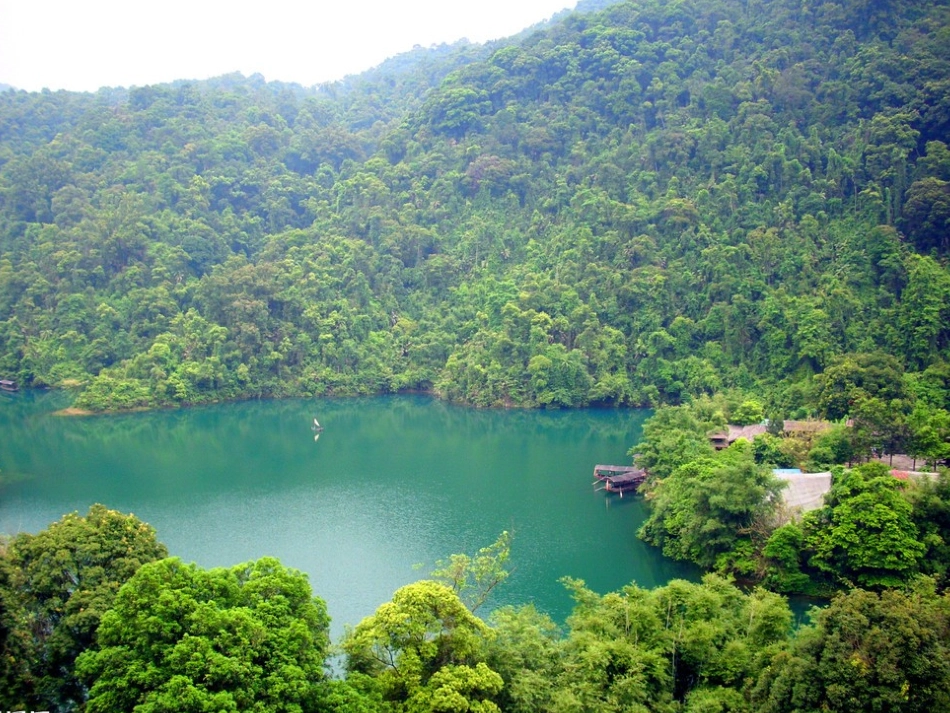 语文：第1课鼎湖山听泉(课件)(苏教版九上)_第3页