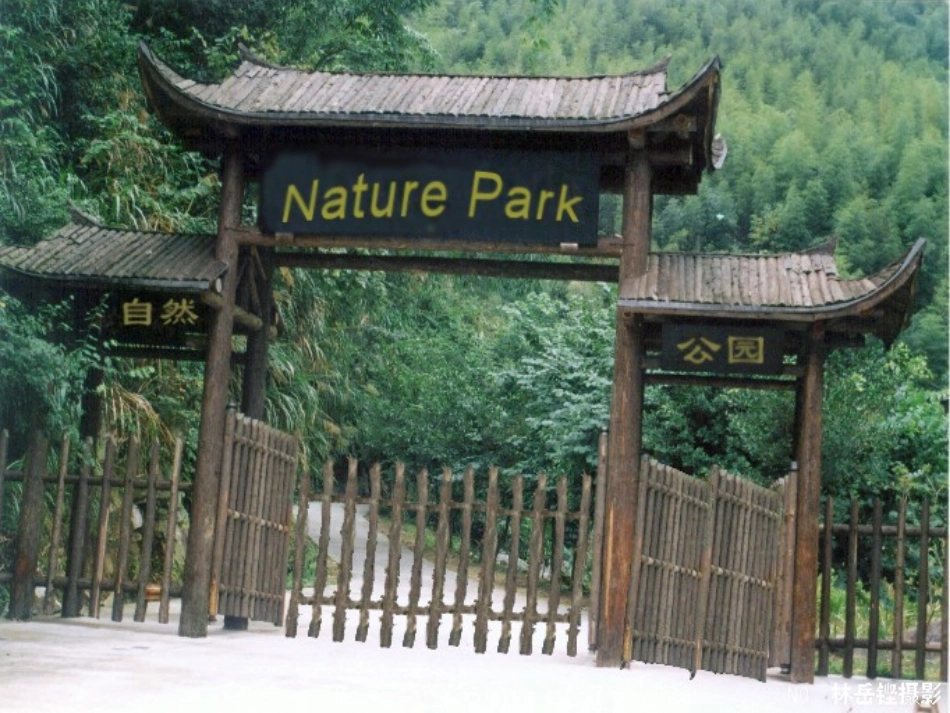 Unit-6-In-a-Nature-Park曾丹妮_第3页