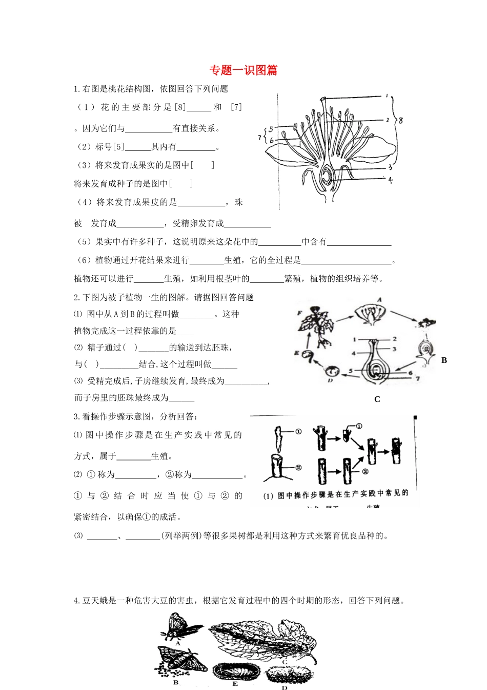 中考生物复习专题一识图题 人教新课标版试卷_第1页