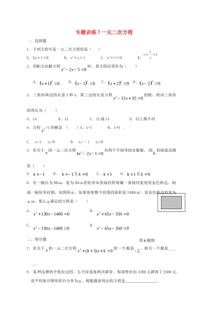 山东省龙口市兰高镇中考数学二轮复习 专题训练7 一元二次方程 鲁教版试卷