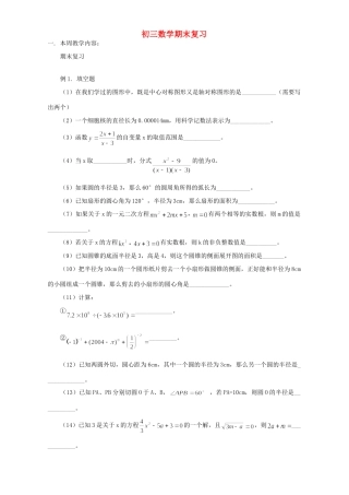 初三数学期末复习 华东师大版 试题
