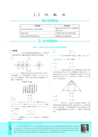 山东省中考数学 专题突破 12代数式(pdf) 新人教版试卷